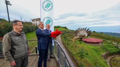 Rize'den doğaya salınan arı şahininin rotası belli oldu