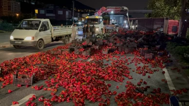 Kamyon devrildi, yol biber tarlasına döndü!