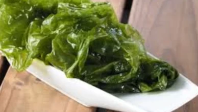 Tuzlu tadın altında gizli şifa! Deniz marulu meğer ne işe yarıyormuş