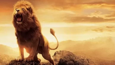 Rüyada aslan görmenin anlamı nedir?