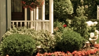 Balkon ve teraslar için en iyi bitki seçimleri ve tasarım ipuçları