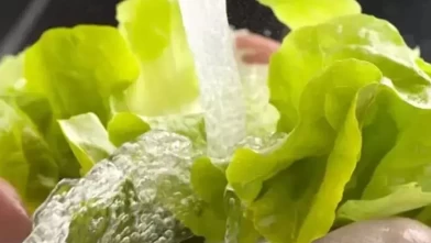 Sebzeler neden karbonatlı suda bekletilir?