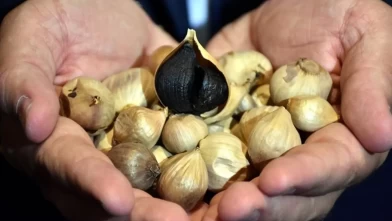 Siyah sarımsak ve anti kanser mekanizması