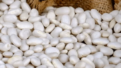 "Kuru fasulye krizi" iddialarına yalanlama