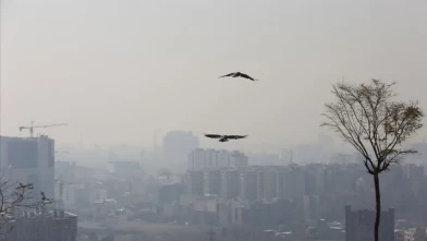 Artan hava kirliliği Tahran’da futbolu durdurdu