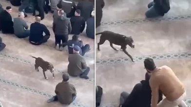 Camidekilere büyük panik yaşatmıştı!