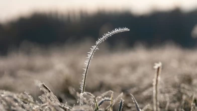 Hava koşulları kötüleşiyor: Türkiye’ye sis, yağmur ve kar uyarısı