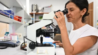 İklim değişikliği kestane balını da etkiledi