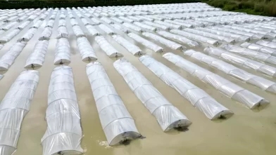 Mersin'de sağanak felaketi