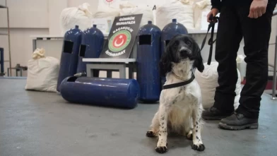 Hassas burunlar gizlenen yasaklı madde buldu