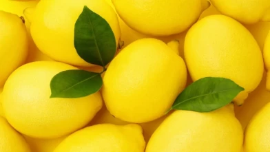 En popüler yerli ve egzotik limon çeşitleri