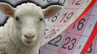 Kurban Bayramı kaç gün, 9 gün mü? 2026 Kurban Bayramı hangi güne denk geliyor?