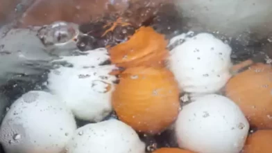 Bitkileri şaha kaldıran mutfak sırrı! Haşlanmış yumurta suyu ve muz kabuğu