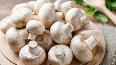 Yabani mantar tüketimine kritik uyarı