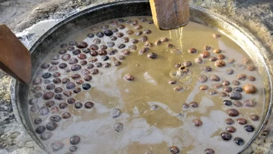 Kırgızlar, Nevruz Bayramını yüzyıllık “sümölök” geleneğiyle kutluyor