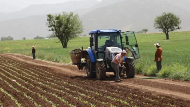 Çiftçiye müjde: 350 milyon liralık destek ödemesi hesaplara yatıyor