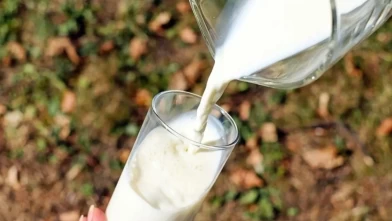 Çiğ süt tavsiye fiyatına güncelleme geldi