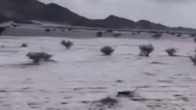 Suudi Arabistan’da dolu yağışı!