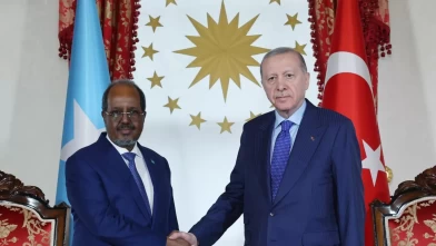Cumhurbaşkanı Erdoğan, Somali Cumhurbaşkanı Mahmud ile görüştü