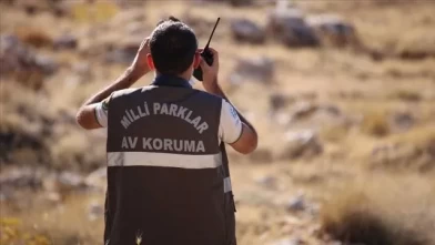 Milli Parklar uzmanlığı için "tez" ve "sınav" şartı