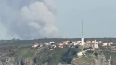 Beykoz’da korkutan orman yangını