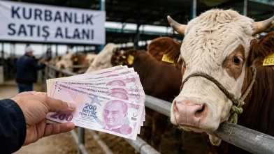 Kurbanlık alırken dikkat!