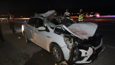 Muş’ta kaza dehşeti: Ata çarpan otomobil savruldu, 7 yaralı!