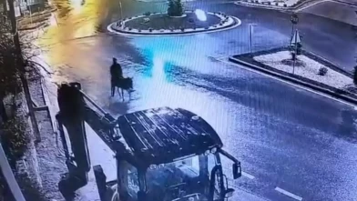 Eşekle kuyumcu soygunu! Altınları çalıp eşeğiyle kaçan adamın cezası belli oldu