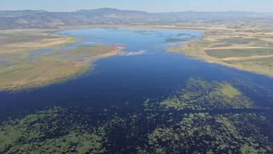 Kuruyan Marmara Gölü yeniden canlandı, kuşlar dönmeye başladı