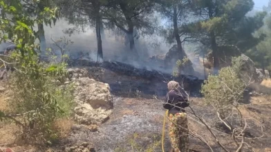 Kahramanmaraş’ta orman yangını!