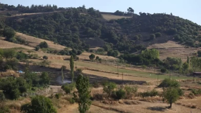 Balıkesir'de orman yangını!
