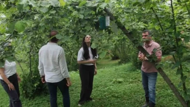 Trabzon öncülüğünde uluslararası tarım projesi: İstilacı türlere karşı 3 ülke ortak teknolojik kalkan oluşturuyor