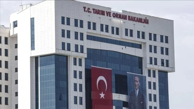 Bu istilacı türü avlayanlara 13 milyon lira destek ödemesi!