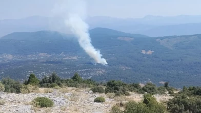 Muğla'da orman yangını kontrol altına alındı