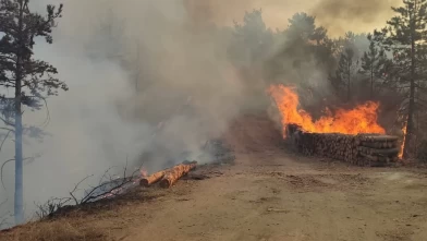 Bolu'da ormanlık alanda çıkan yangına müdahale ediliyor