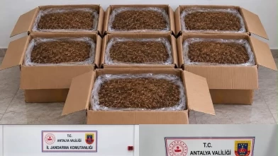 Antalya’da kaçak tütün operasyonu: 210 kilogram ele geçirildi