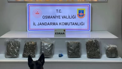 Osmaniye’de yayla evine uyuşturucu operasyonu: 3 tutuklama