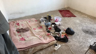 Böceklerin arasında peynir üretimi!