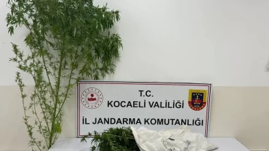 Kocaeli’de uyuşturucu operasyonu: 3 kilo 750 gram esrar ele geçirildi