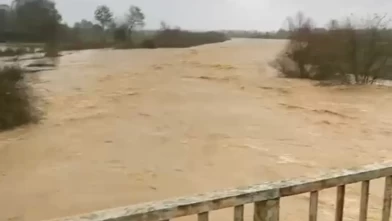 Sakarya’da çiftçilerin emeği sulara gömüldü!