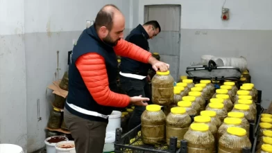 Tonlarca zeytin, zeytinyağı, salça, yaprak imha edildi!