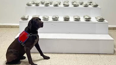 Van Başkale’de araçta 10 kilo 111 gram esrar ele geçirildi