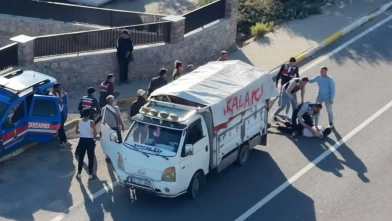 Firari hükümlünün zeytin mesaisi cezaevinde bitti!