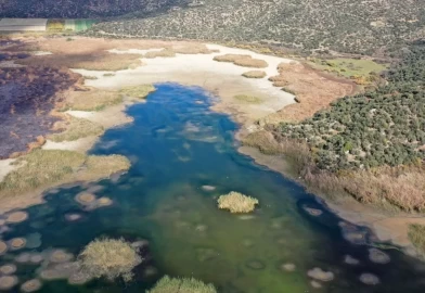 Ege’nin kartpostallık gölü kuruyor! Kuşlar ve canlılar ölümle mücadele ediyor