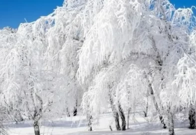 En sert soğuklar için kritik tarihler