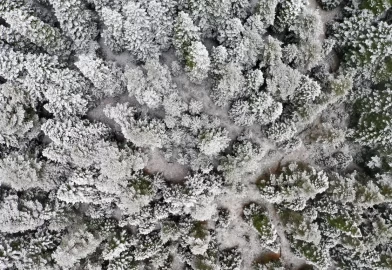 Ilgaz Dağı'ndaki kar ve sis havadan görüntülendi