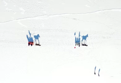Çıldır Gölü'nün bir kısmı dondu! Buzda atlı kızaklarla safari keyfi