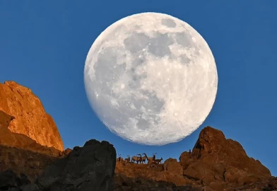 Dolunay yaban keçileriyle zirvede buluştu