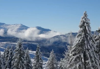 Ordu'nun Çambaşı Yaylası beyaza büründü