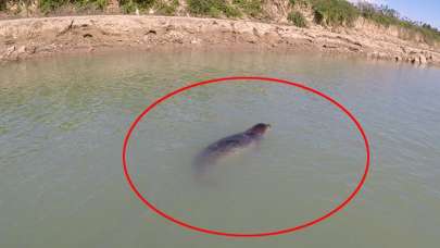 Yer Antalya... Ekipler alarma geçti